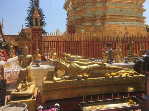 doi suthep 5