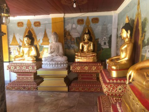 doi suthep 8